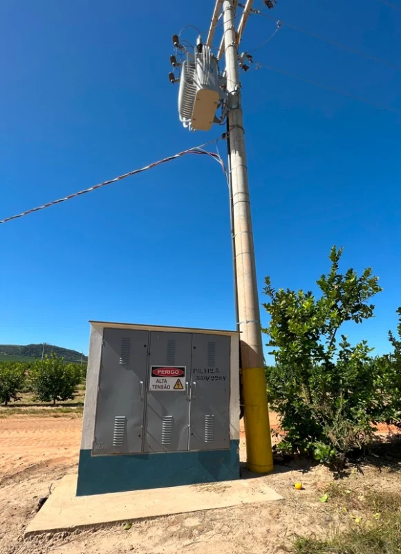 Conformidade Normativa